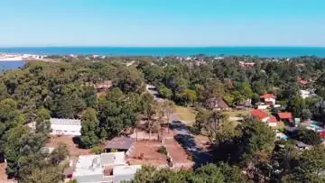 Terreno junto al arroyo en El Pinar: cuadro del vídeo 4